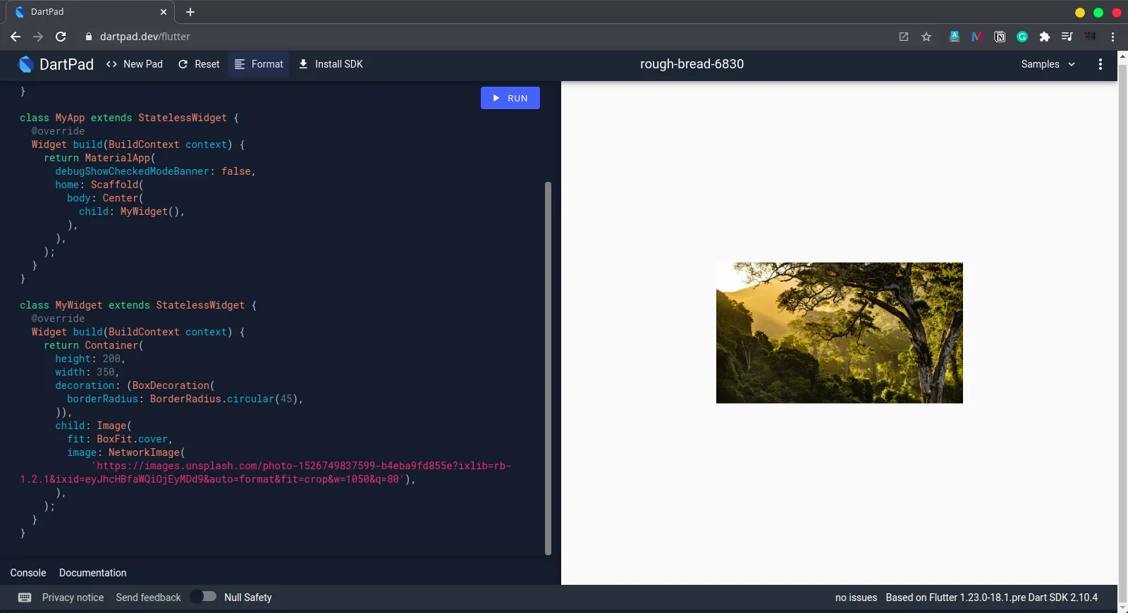 image inside rounded container