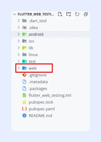 There&#x27;s a web folder after creating a new Project